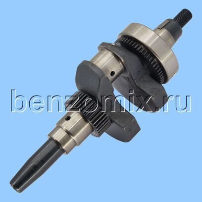 Коленвал CHAMPION DW190E, в сборе